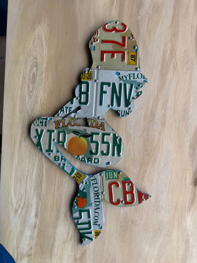 Florida License Plate Art