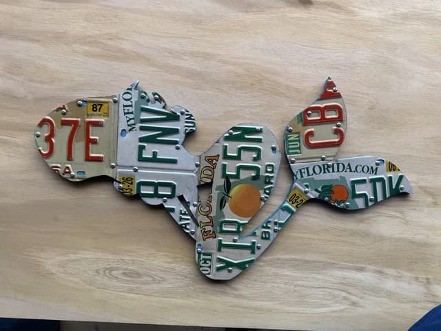 Florida License Plate Art